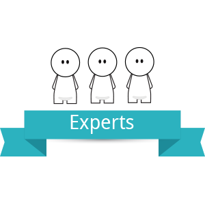 expertsicon